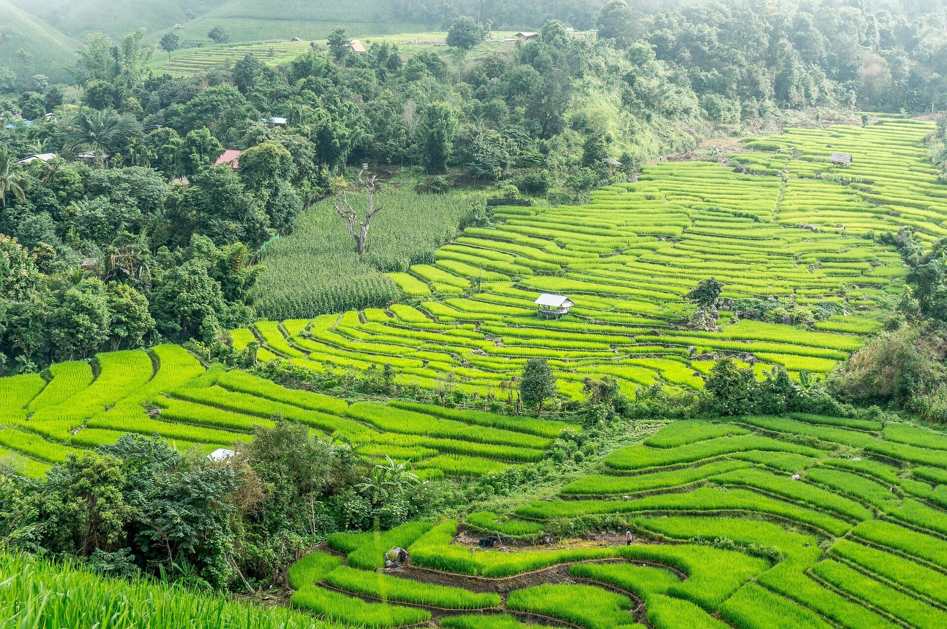 Start your Chiang Khong Travel with tranquil vibes
